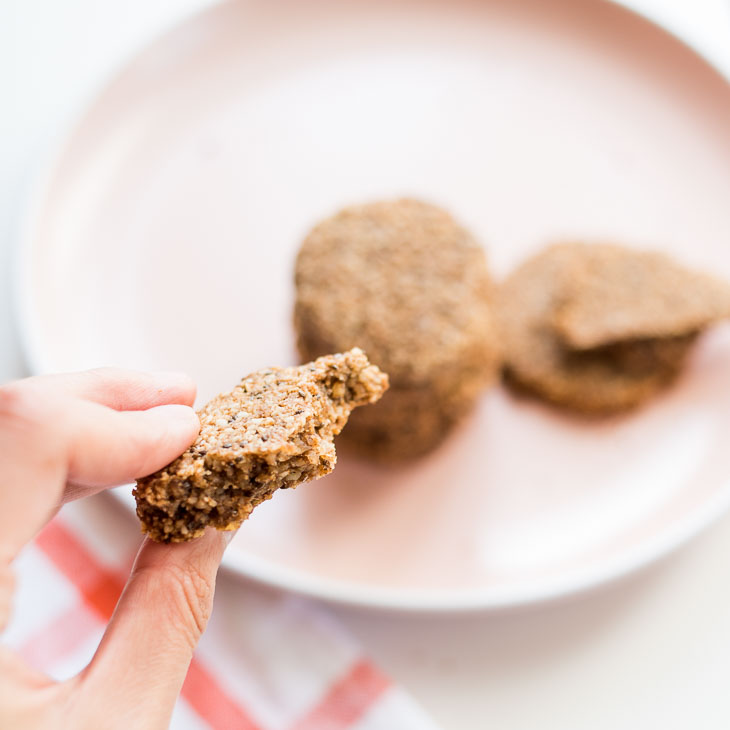Keto Ginger Spice Cookies