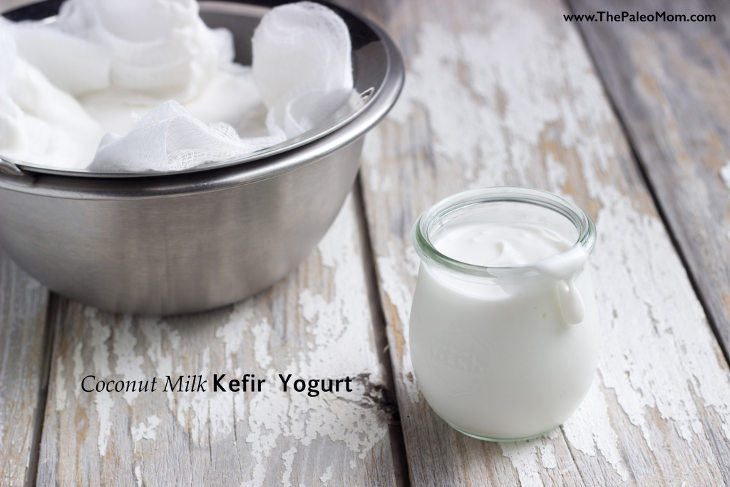 Coconut Milk Kefir “Yogurt”