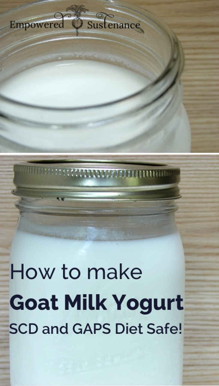 Goat Milk Yogurt