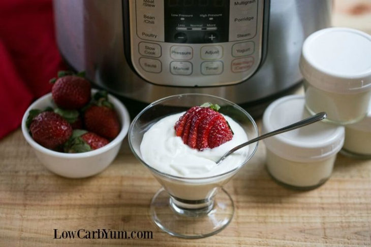  Low Carb Yogurt in the Instant Pot