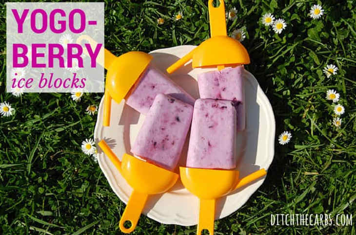 Yogo-Berry Sugar Free Ice Blocks